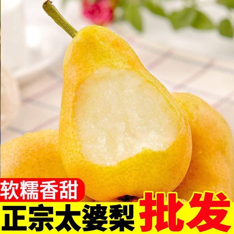 烟台太婆梨一件代发批发