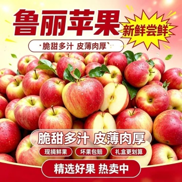苹果，对接电商，支持代发，产地直发，大量现货，日发3万。