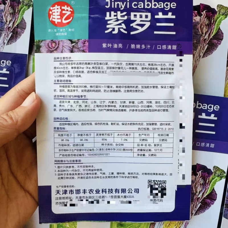 紫罗兰紫白菜种子口感甜脆紫叶油亮大白菜种子青麻叶类型