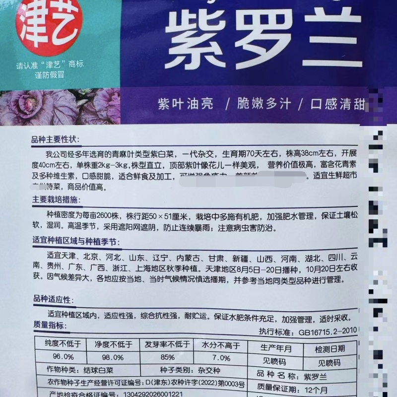 紫罗兰紫白菜种子口感甜脆紫叶油亮大白菜种子青麻叶类型