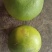 精品葡萄柚一手货源各个规格档口商超均可长期供应