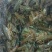 盱眙小龙虾苗种批发龙虾苗价格优惠货发全国