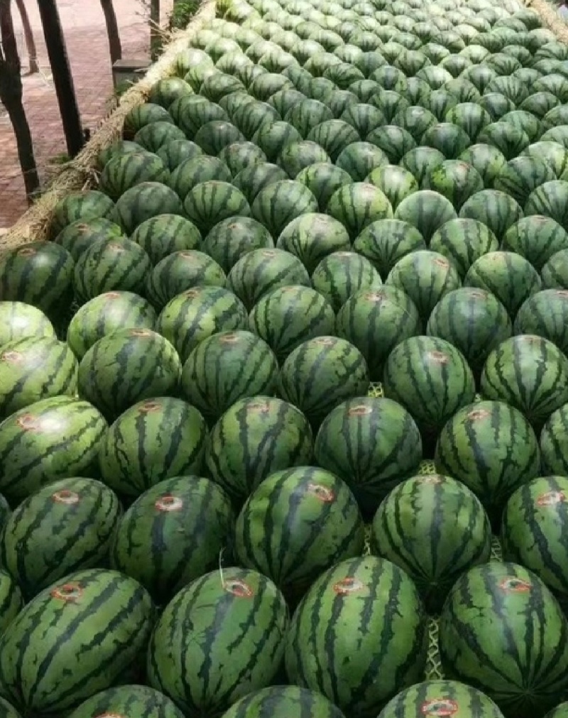 吉林精品地雷瓜货源充足基地直采全国发货代收代发
