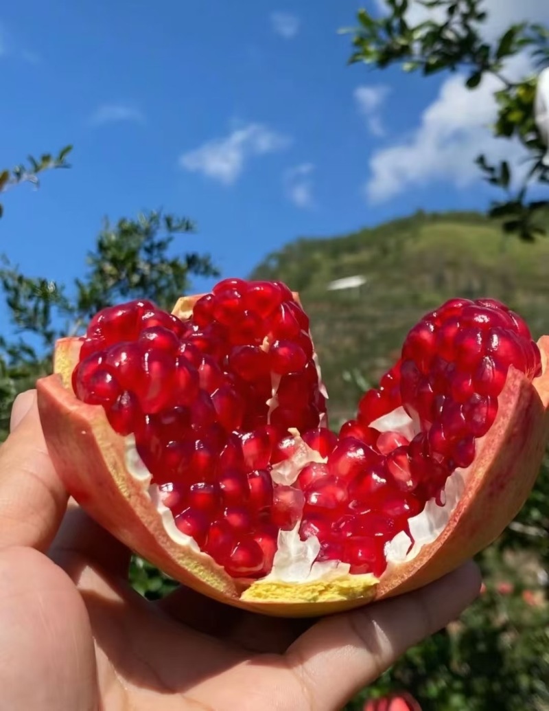 突尼斯软籽石榴园子货，果形圆润饱满，果皮光滑，甜度高