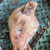 火烧羊头