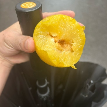 黄金奈李