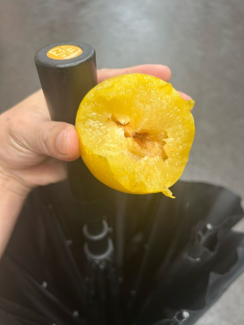 黄金奈李