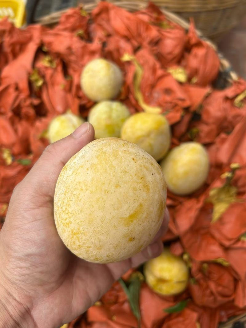 黄金奈李