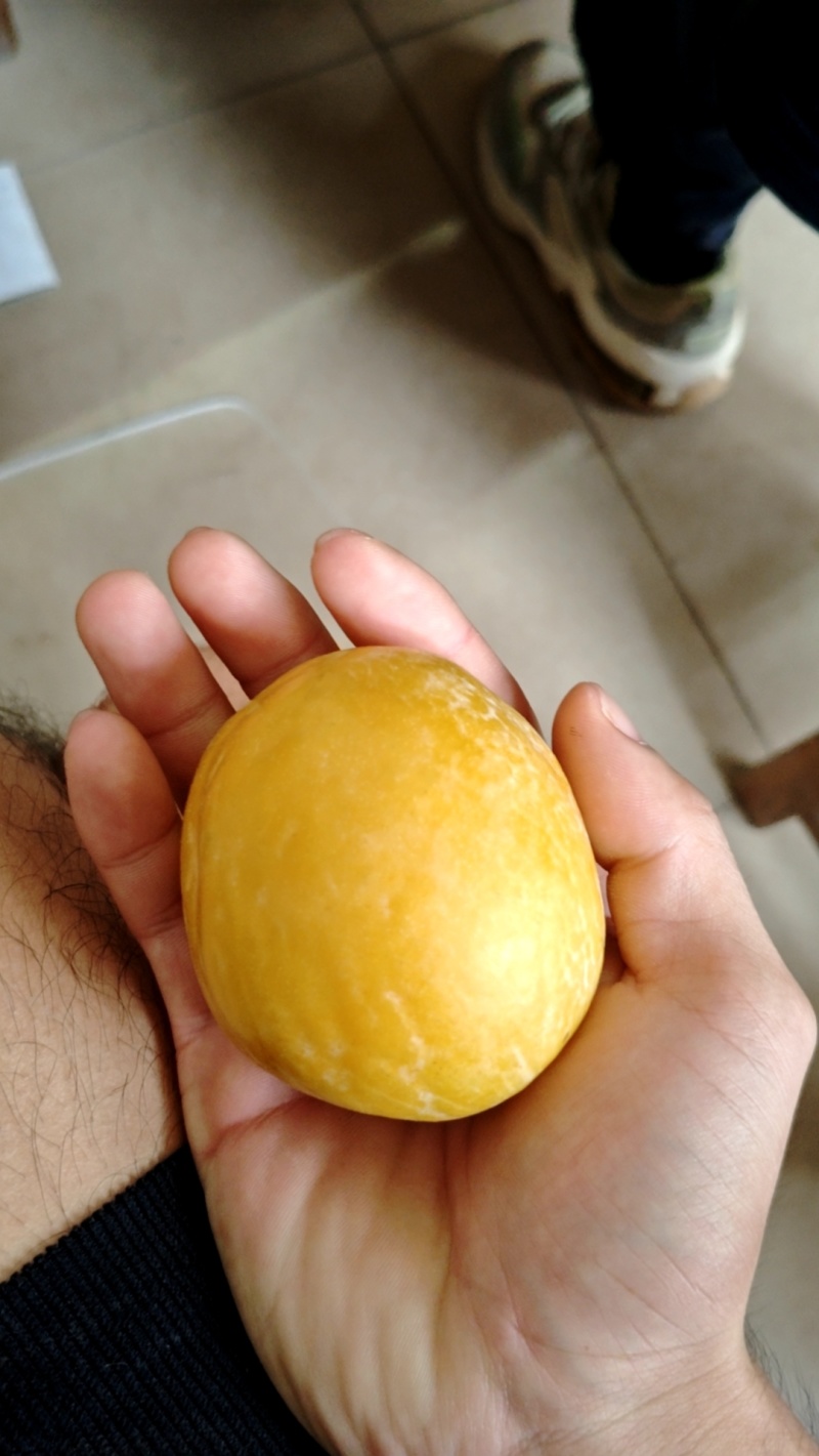 黄金奈李