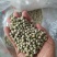青豌豆干豌豆鸽粮宠物粮配料豌豆青豌豆