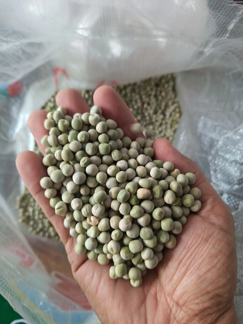 青豌豆干豌豆鸽粮宠物粮配料豌豆青豌豆