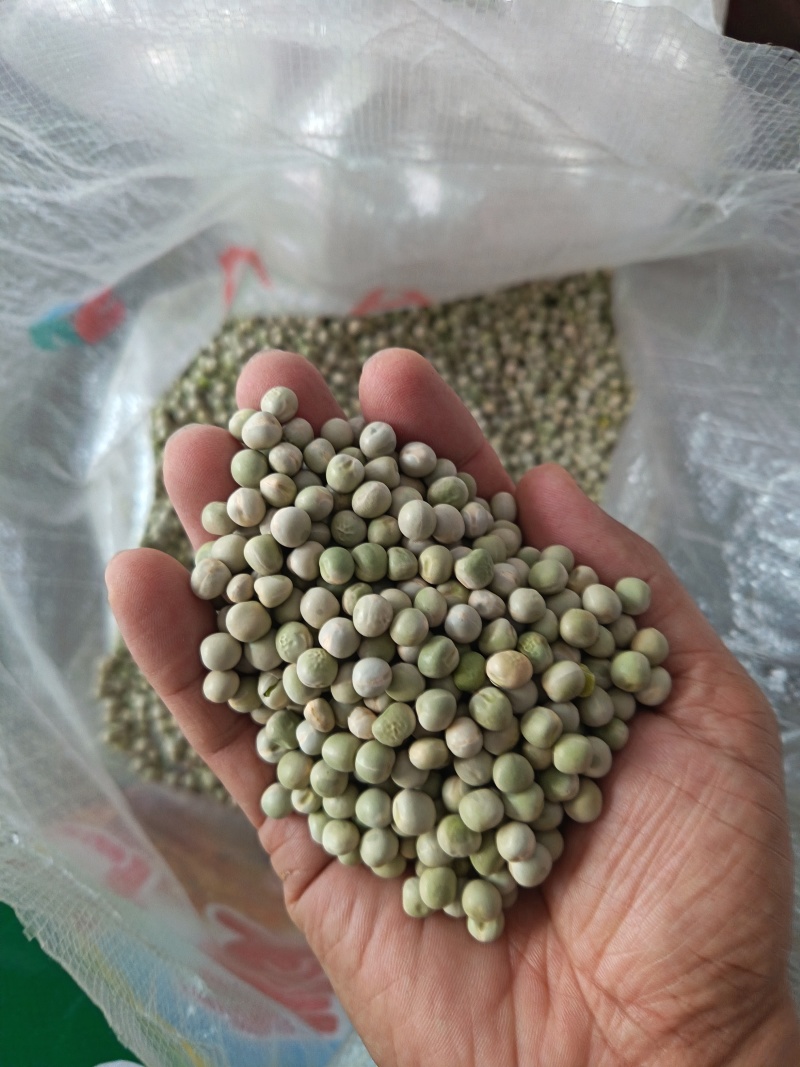 青豌豆干豌豆鸽粮宠物粮配料豌豆青豌豆