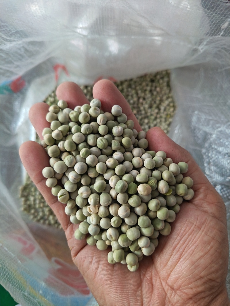 青豌豆干豌豆鸽粮宠物粮配料豌豆青豌豆