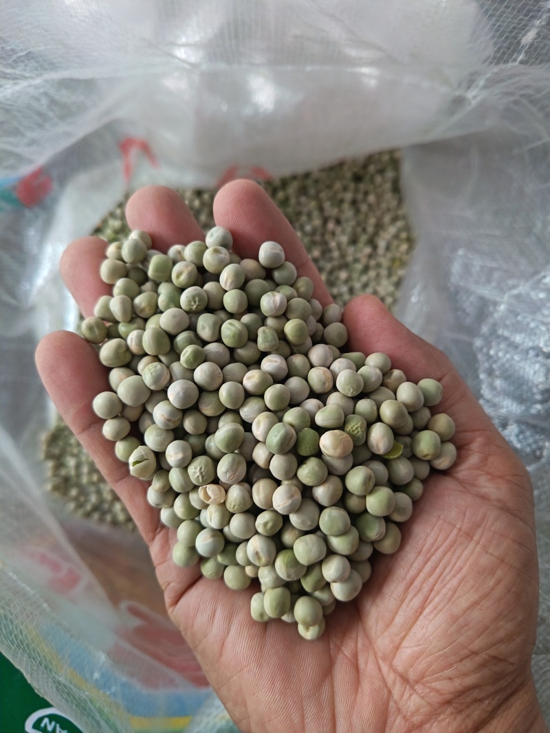 青豌豆干豌豆鸽粮宠物粮配料豌豆青豌豆