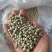 青豌豆干豌豆鸽粮宠物粮配料豌豆青豌豆