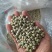青豌豆干豌豆鸽粮宠物粮配料豌豆青豌豆