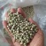 青豌豆干豌豆鸽粮宠物粮配料豌豆青豌豆