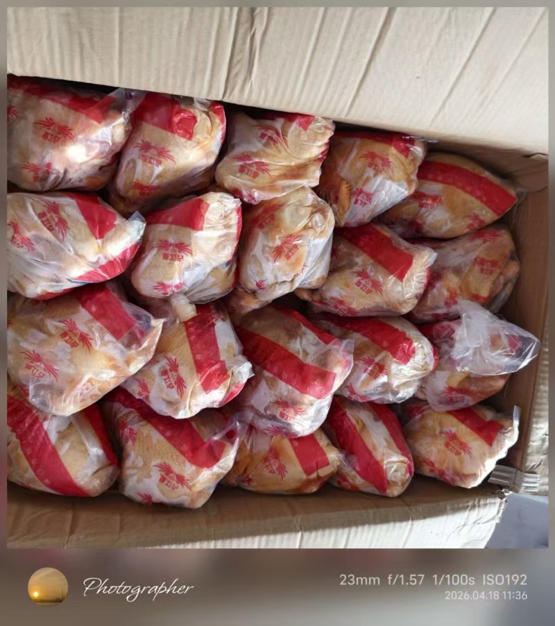 清远鸡，一件20只工厂直发量大从优