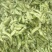 出售毛豆皮