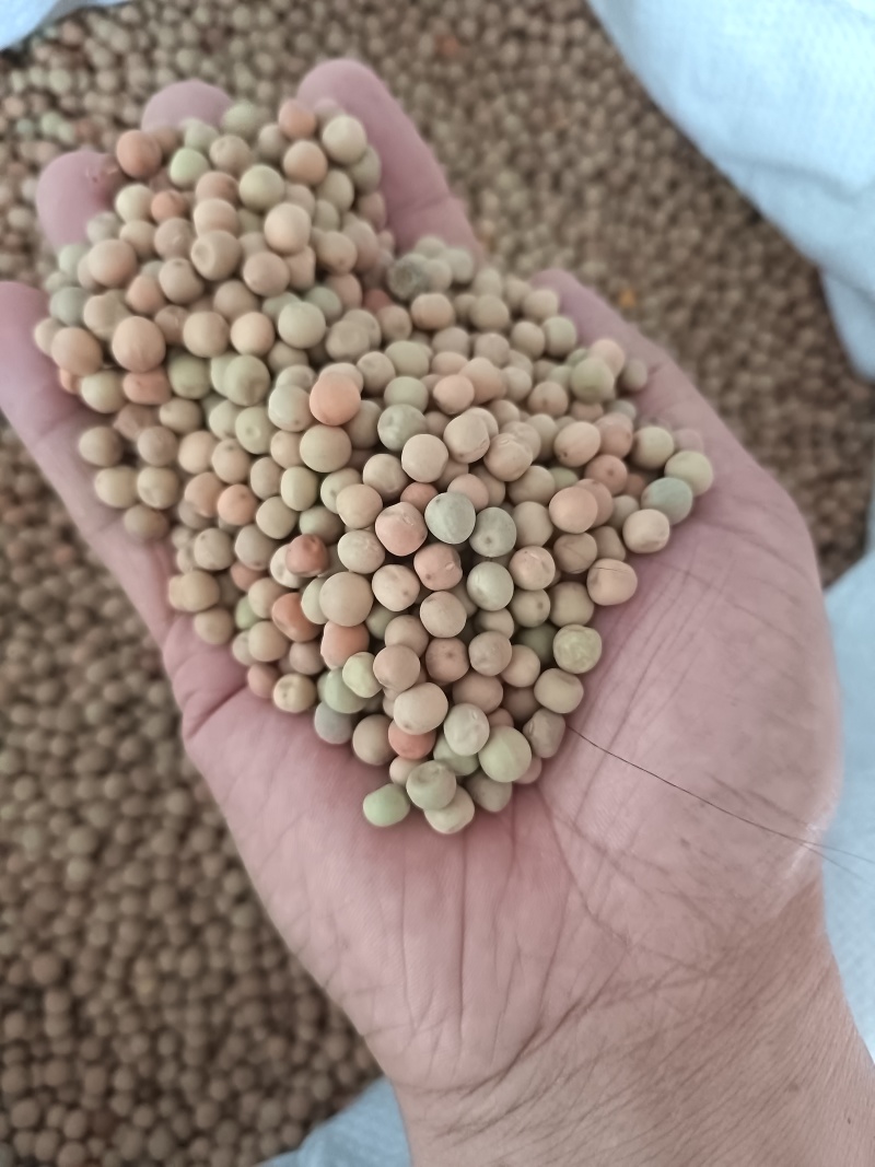 红豌豆豌豆干豌豆鸽粮宠物粮配料红豌豆