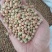 红豌豆豌豆干豌豆鸽粮宠物粮配料红豌豆
