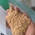 大麦仁麦仁食品原料鸽粮宠物粮配料大麦仁
