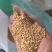 大麦仁麦仁食品原料鸽粮宠物粮配料大麦仁