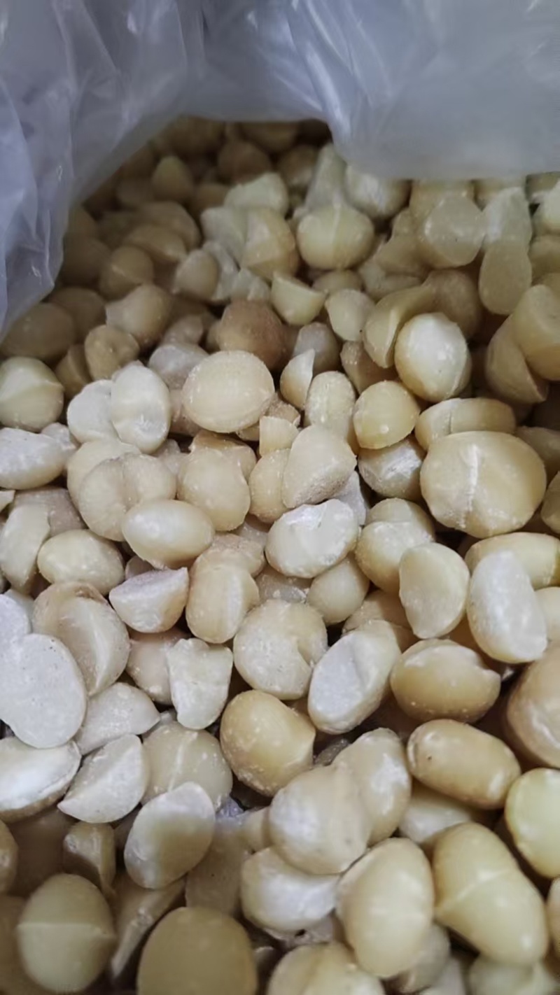 夏威夷果，夏威夷果仁，电商货市场货超齐全！欢迎大家洽谈
