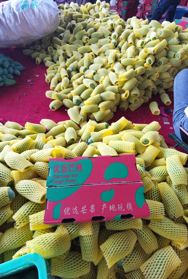 广西桂七芒果，市场货，电商一件代发，社区团购落地配等