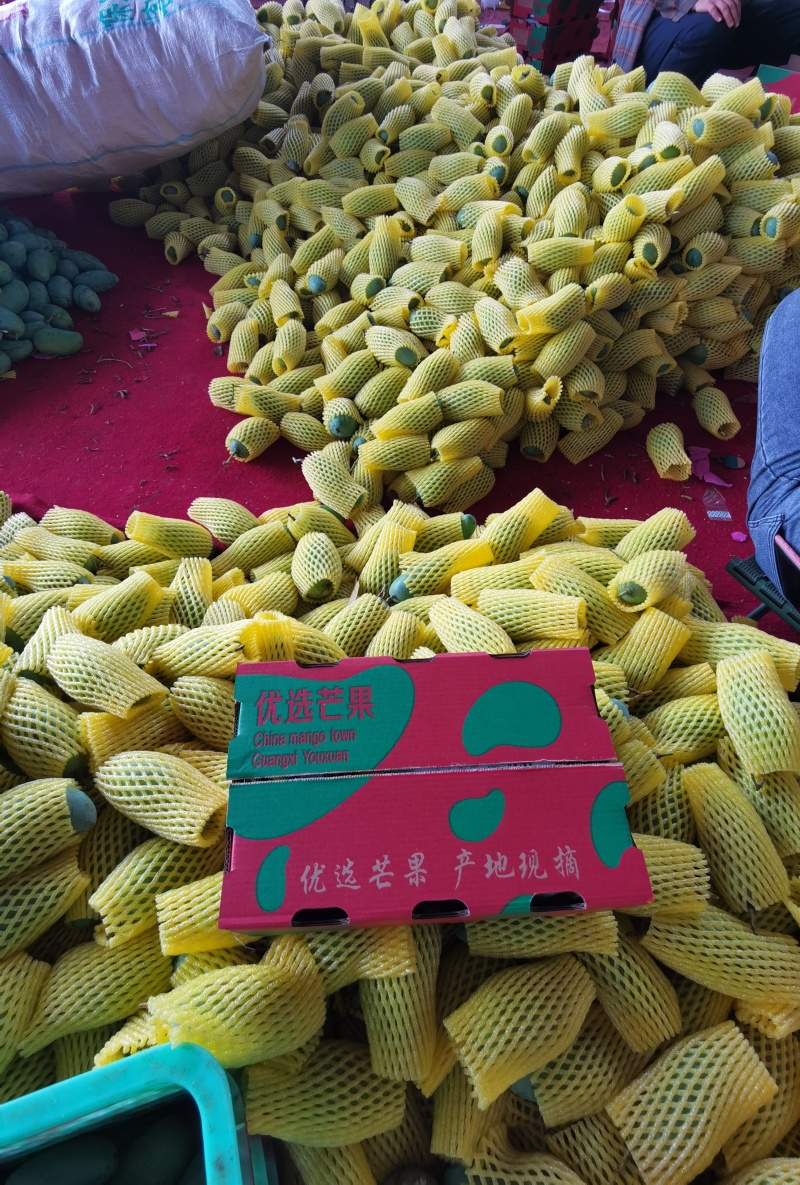 广西桂七芒果，市场货，电商一件代发，社区团购落地配等