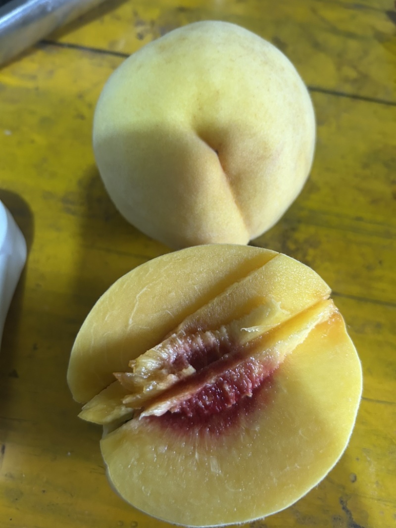 黄桃锦绣大量供应