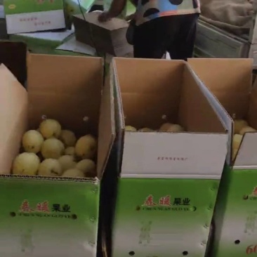 皇冠梨找客商