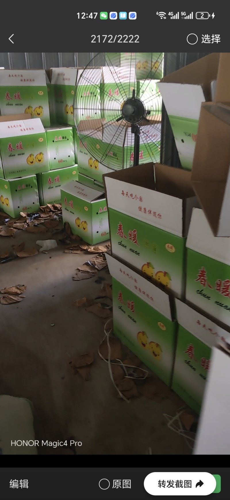 皇冠梨找客商