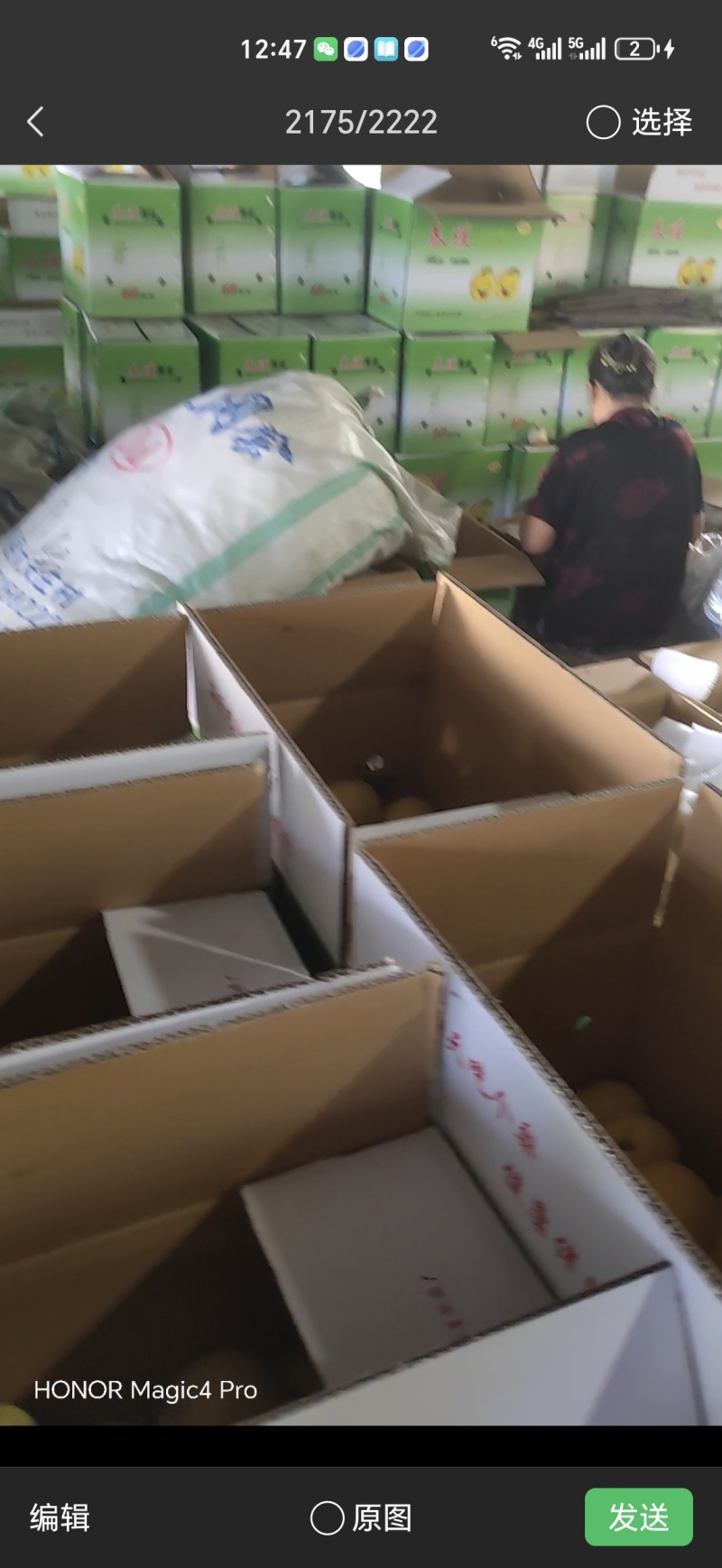 皇冠梨找客商