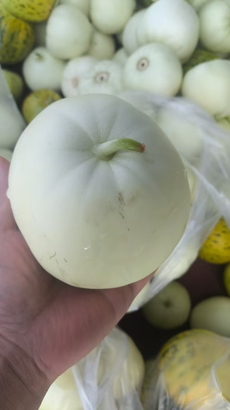 小白瓜美荣。