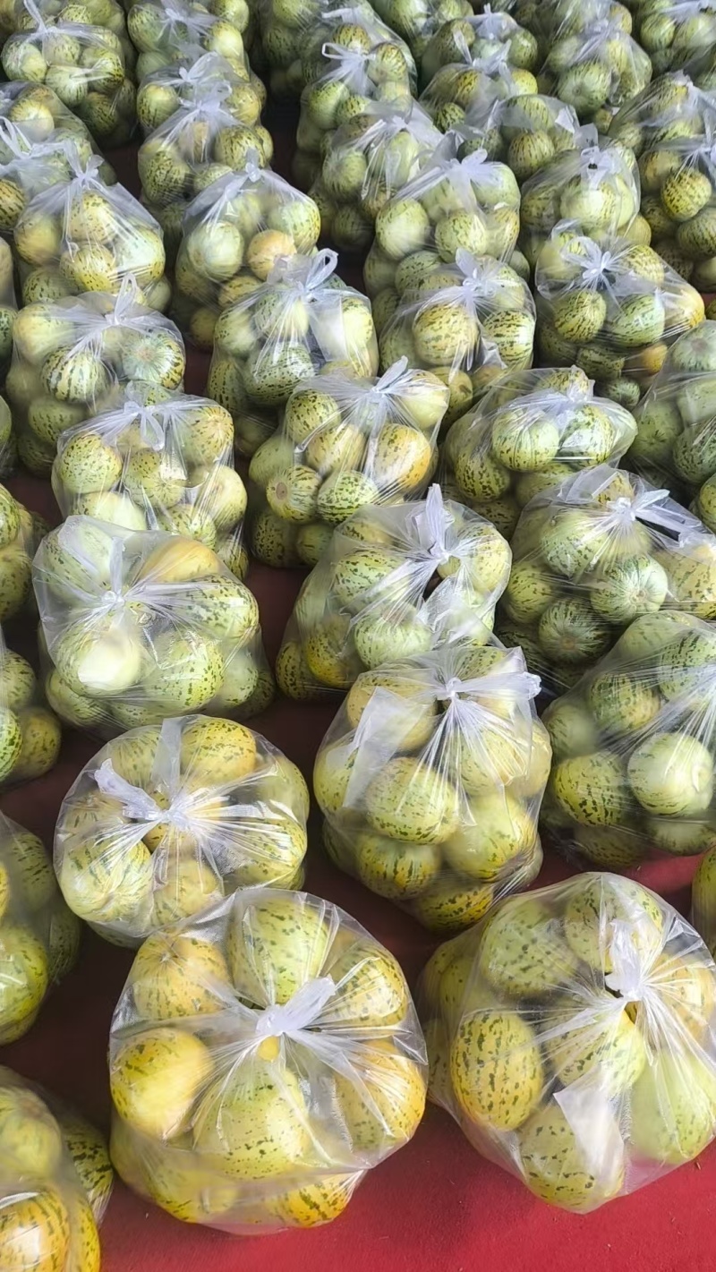 小白瓜美荣。