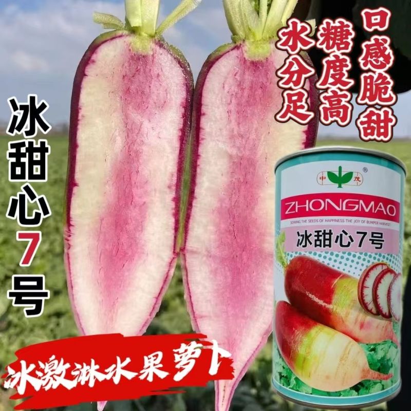 冰甜心7号冰淇淋水果萝卜种籽高产早熟耐寒甜脆三色冰激凌萝