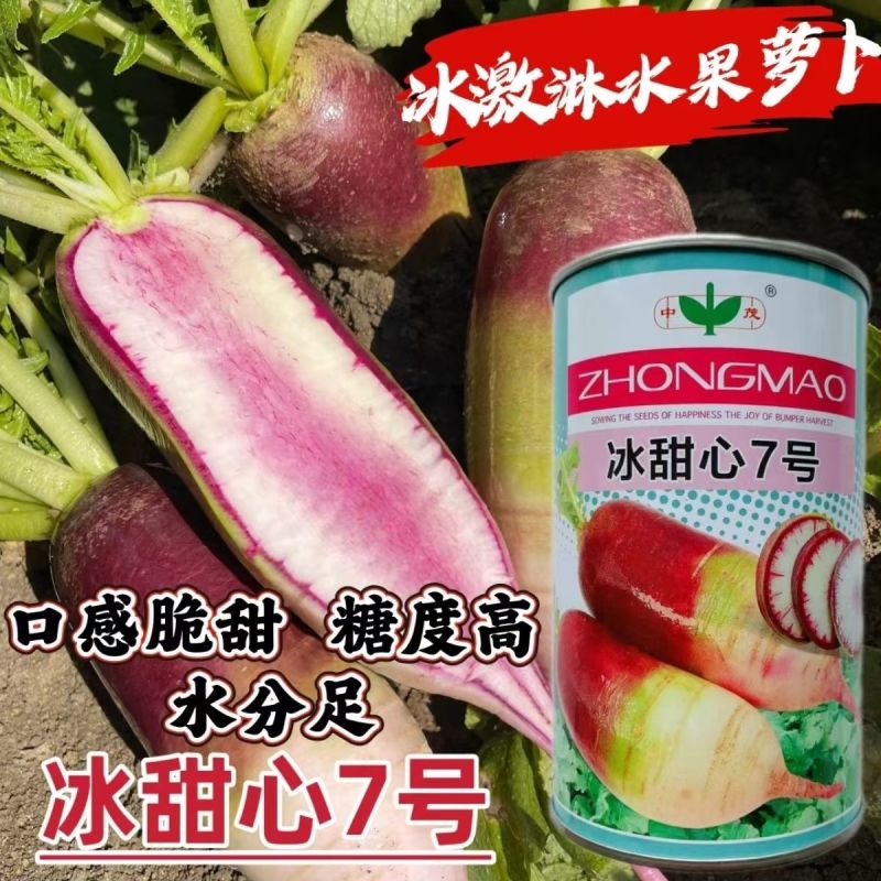 冰甜心7号冰淇淋水果萝卜种籽高产早熟耐寒甜脆三色冰激凌萝