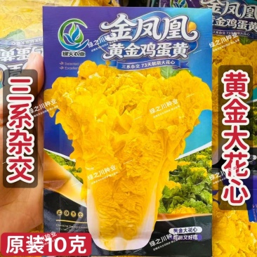 黄金鸡蛋黄大白菜种子三系杂交大花心白菜种子黄心大白菜