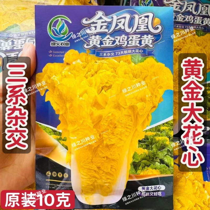 黄金鸡蛋黄大白菜种子三系杂交大花心白菜种子黄心大白菜