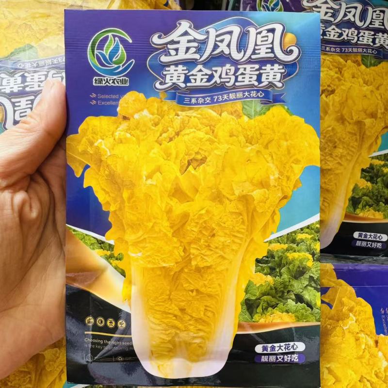 黄金鸡蛋黄大白菜种子三系杂交大花心白菜种子黄心大白菜
