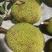 金包菠萝蜜10斤-20斤价格实惠量大