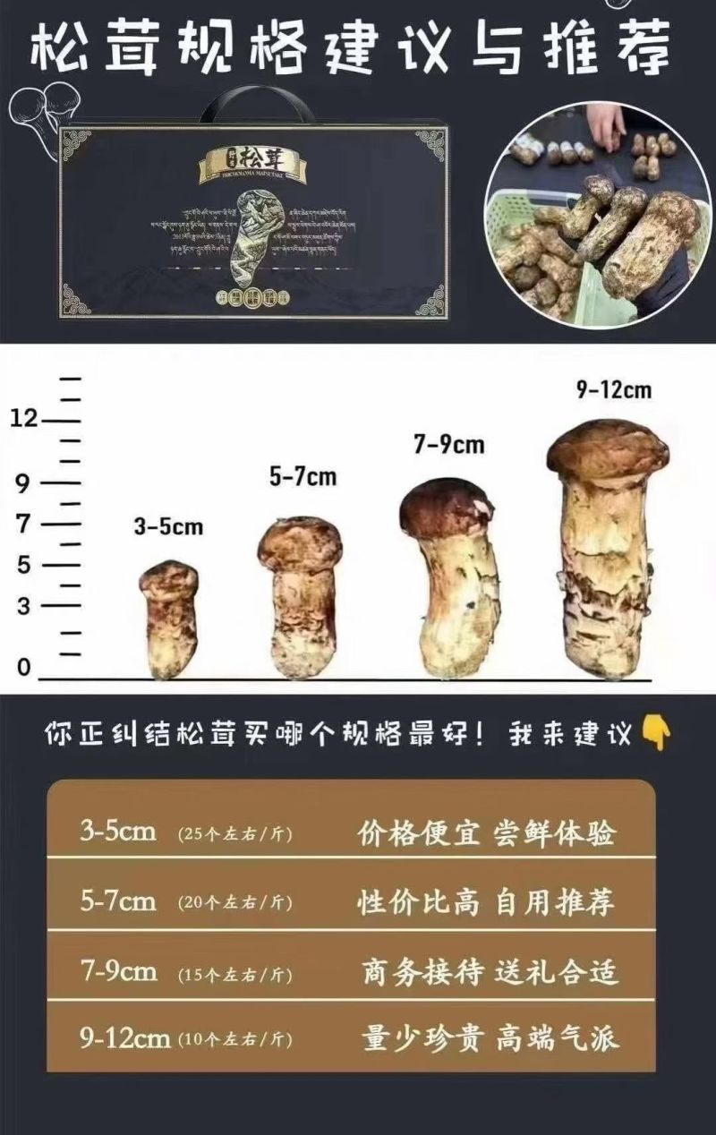 云南高山特早蜜桔大量上市，欢迎电商超市市场前来选购