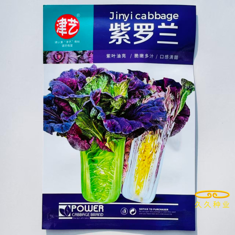紫罗兰白菜种子青麻叶型紫白菜种子一代杂交紫白菜种籽