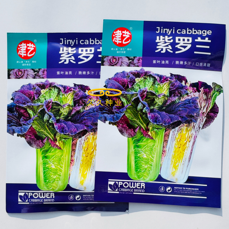 紫罗兰白菜种子青麻叶型紫白菜种子一代杂交紫白菜种籽