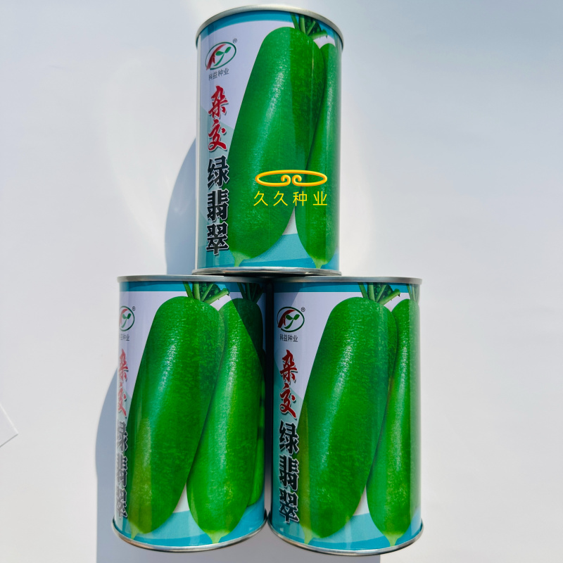 杂交绿翡翠萝卜种子杂交水果萝卜种子生吃脆甜皮薄绿皮绿肉