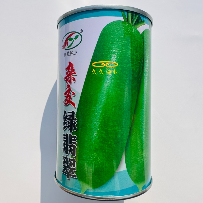 杂交绿翡翠萝卜种子杂交水果萝卜种子生吃脆甜皮薄绿皮绿肉