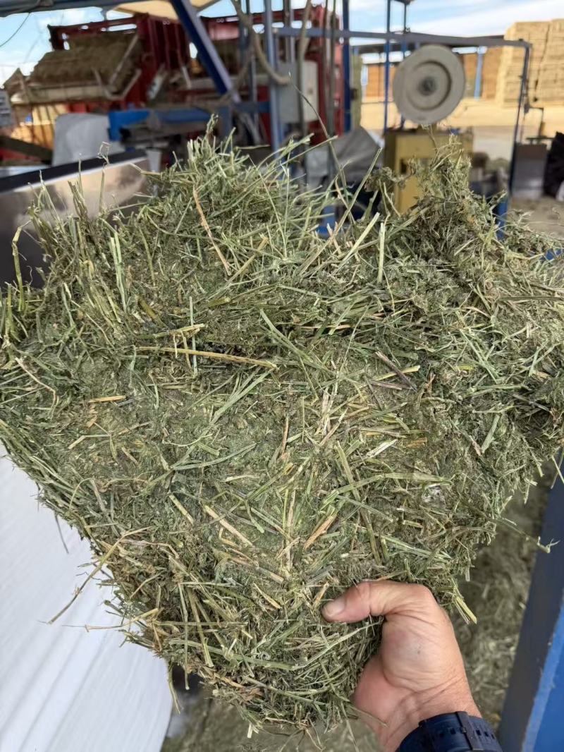 美国进口苜蓿草，牛羊兔喜欢的