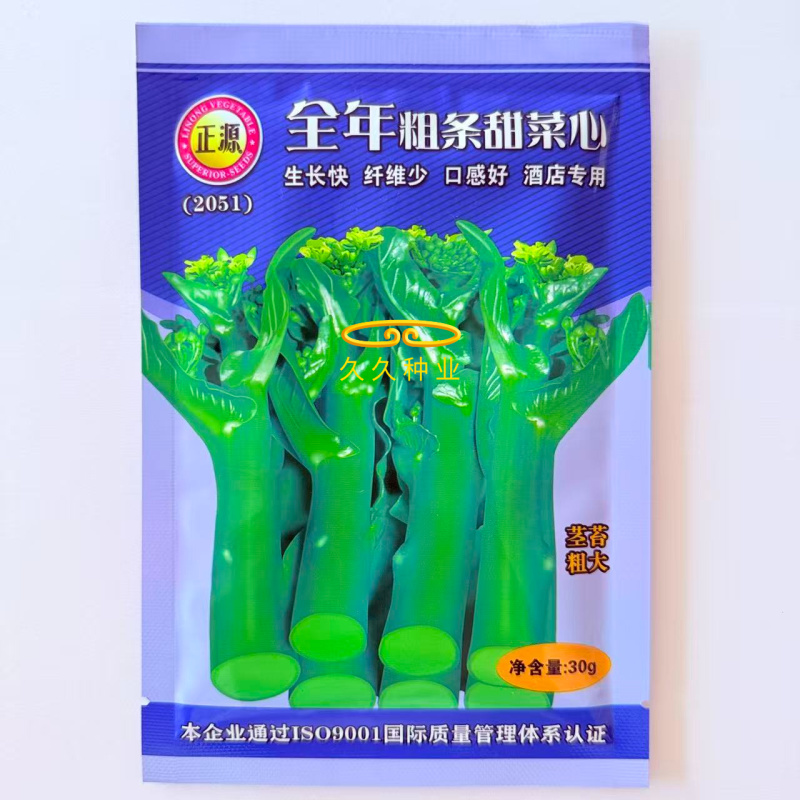 全年粗条甜菜心种子四季速生菜心香甜菜心菜苔种籽