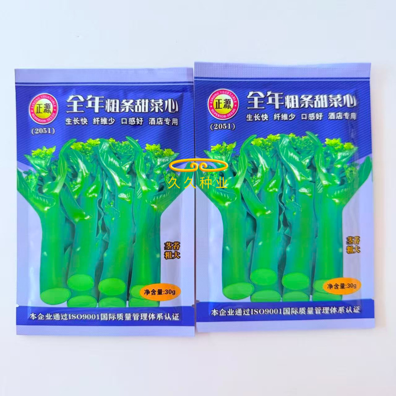 全年粗条甜菜心种子四季速生菜心香甜菜心菜苔种籽
